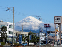 081207sizuoka3.jpg