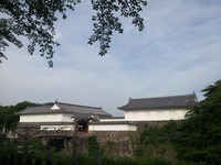 20130610_065426.jpg