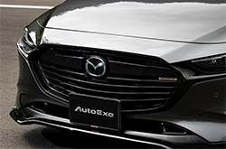 Mazda 3 front grill