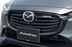 Mazda 2 front grill