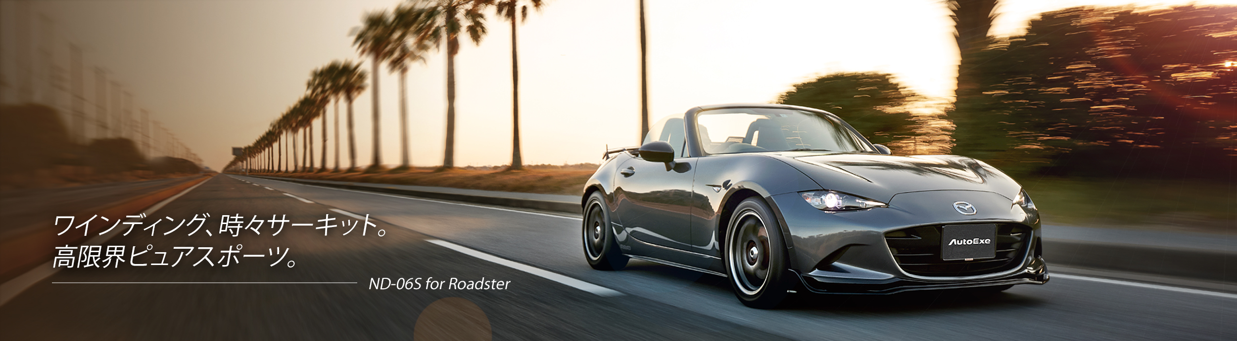 ワインディング、時々サーキット。高限界ピュアスポーツ。ND-06S for Roadster