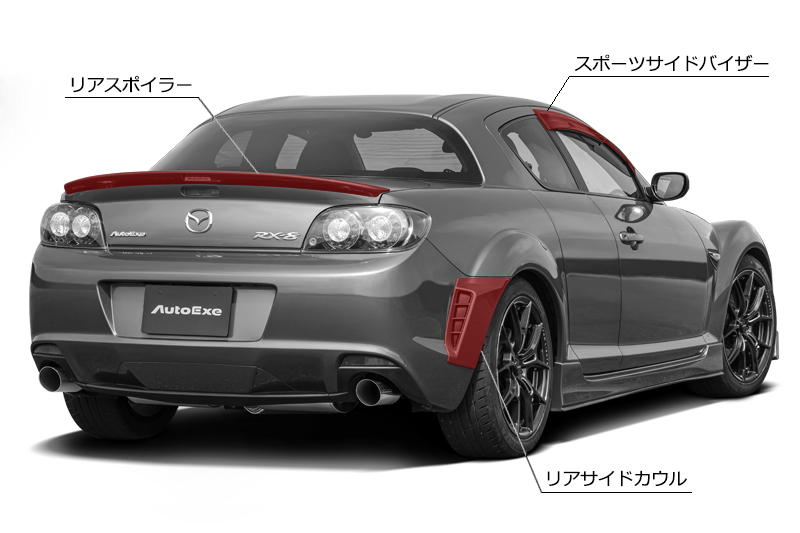 AutoExe オートエクゼ ロアアームバー(リア) RX-8 SE3P (MSE440 - 57