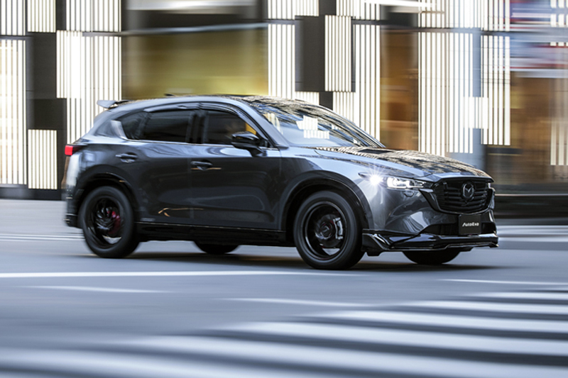 69％以上節約 AutoExe オートエグゼ ロワアームバー フロント CX-5 KE系全車