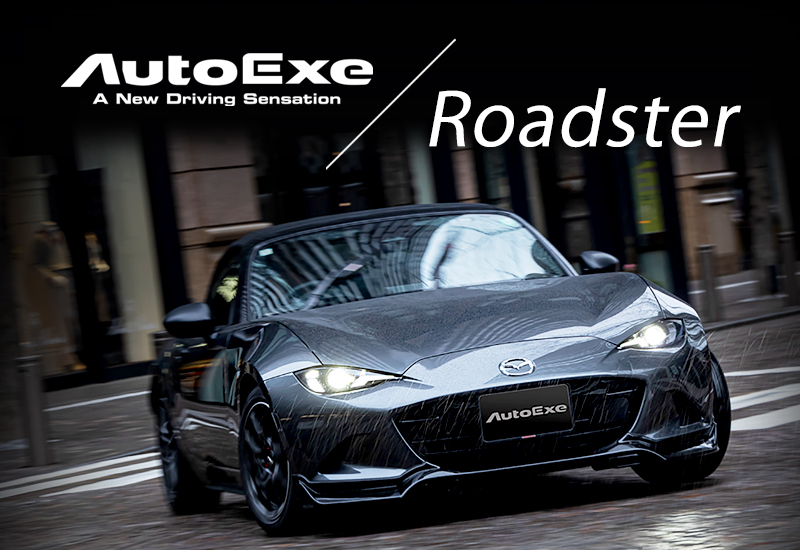 AutoExe x Roadster สไตล์กำหนดเอง