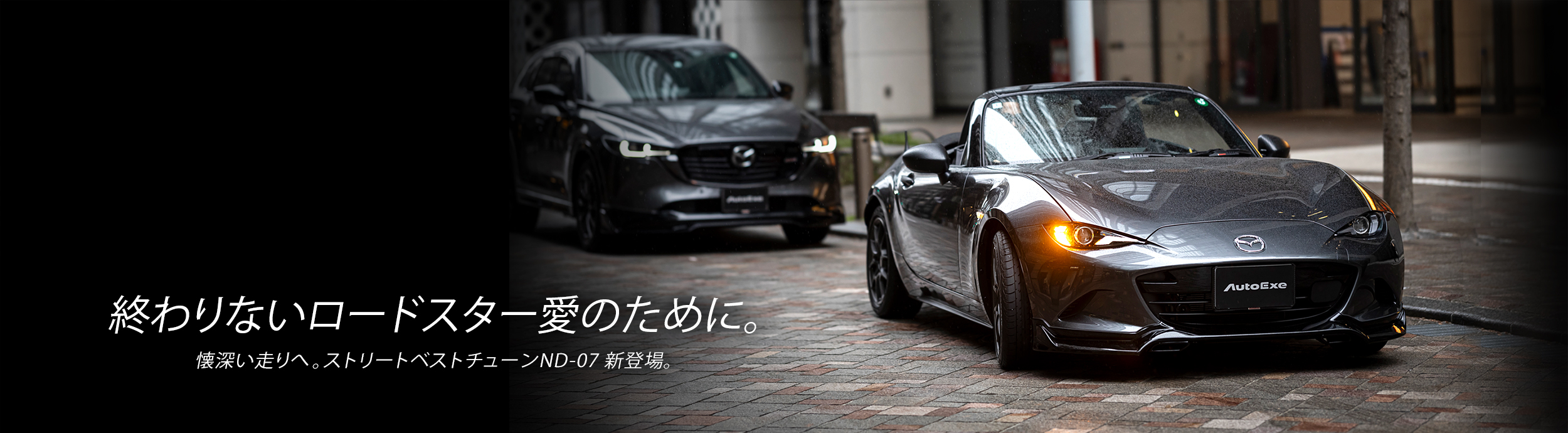 オートエグゼ MLY957X オートエグゼ