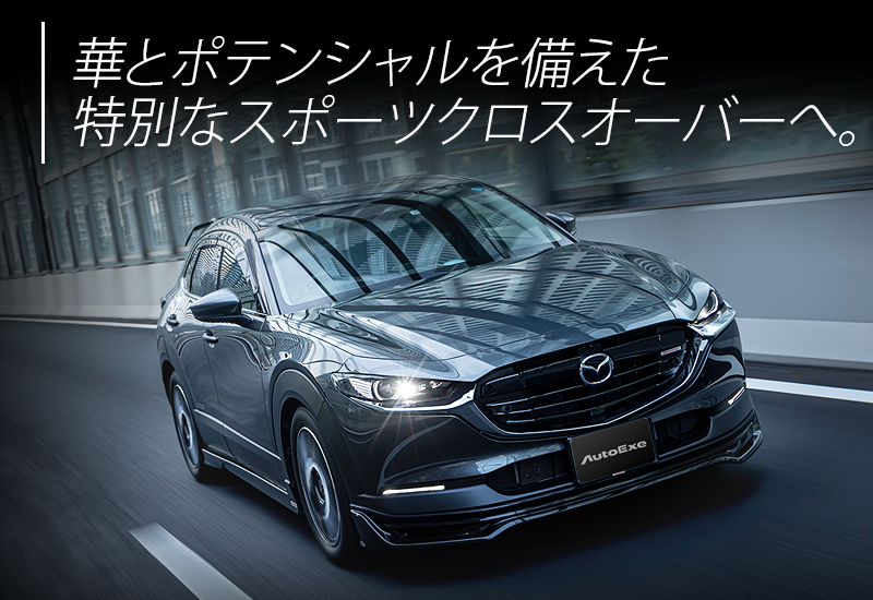 马自达 CX-30 (DM06) 马自达 CX-30