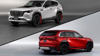 プロアクティブ＋ 60日分 KARUSAN - LHB - BLACK | Prospective Flow | Japanese Fashion