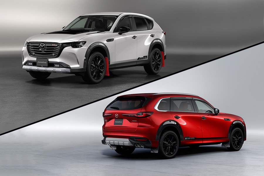 プロアクティブ WirusWin ウイルズウィン スーパーカブ110 スーパーカブ110プロ