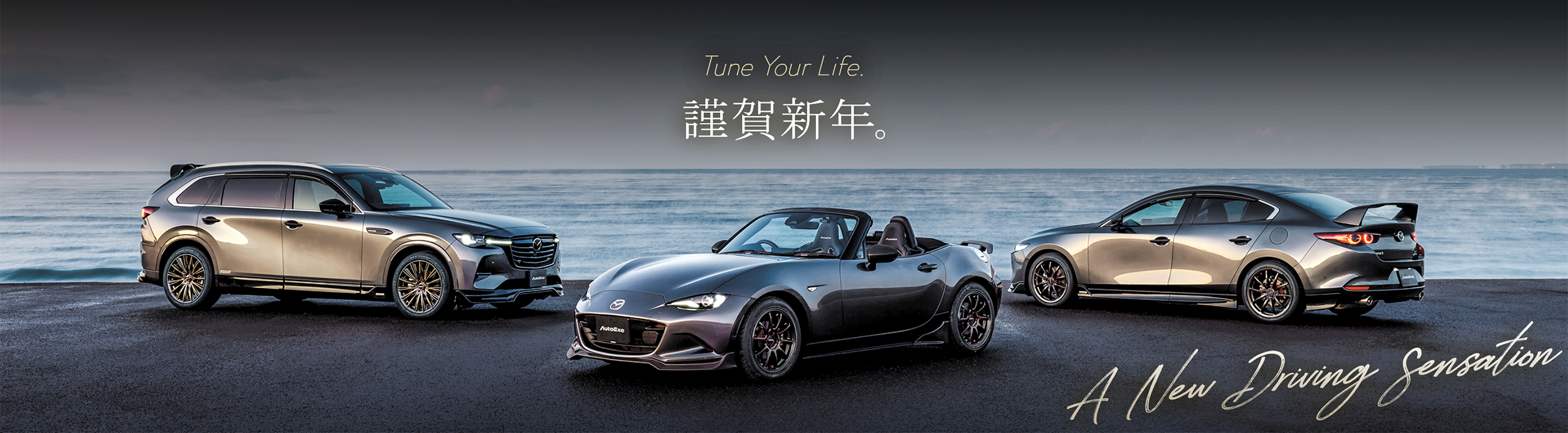 Tune Your Life. 美しく磨き上げた走りが、あなたの日常を豊かに彩る。