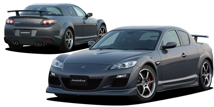 AutoExe オートエクゼ ロアアームバー(リア) RX-8 SE3P (MSE440 - 98