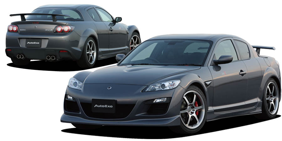 超歓迎された】 AutoExe オートエグゼ ロワアームバー リア RX-8 SE3P